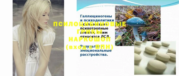 прущая мука Арсеньев