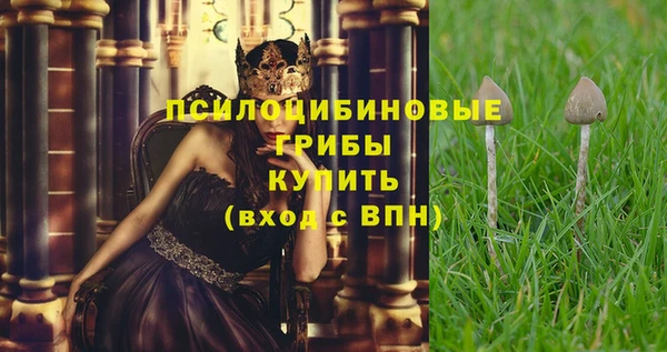прущая мука Арсеньев