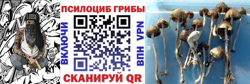 Галлюциногенные грибы MAGIC MUSHROOMS  дарк нет какой сайт  MEGA ТОР  Белебей  продажа наркотиков 